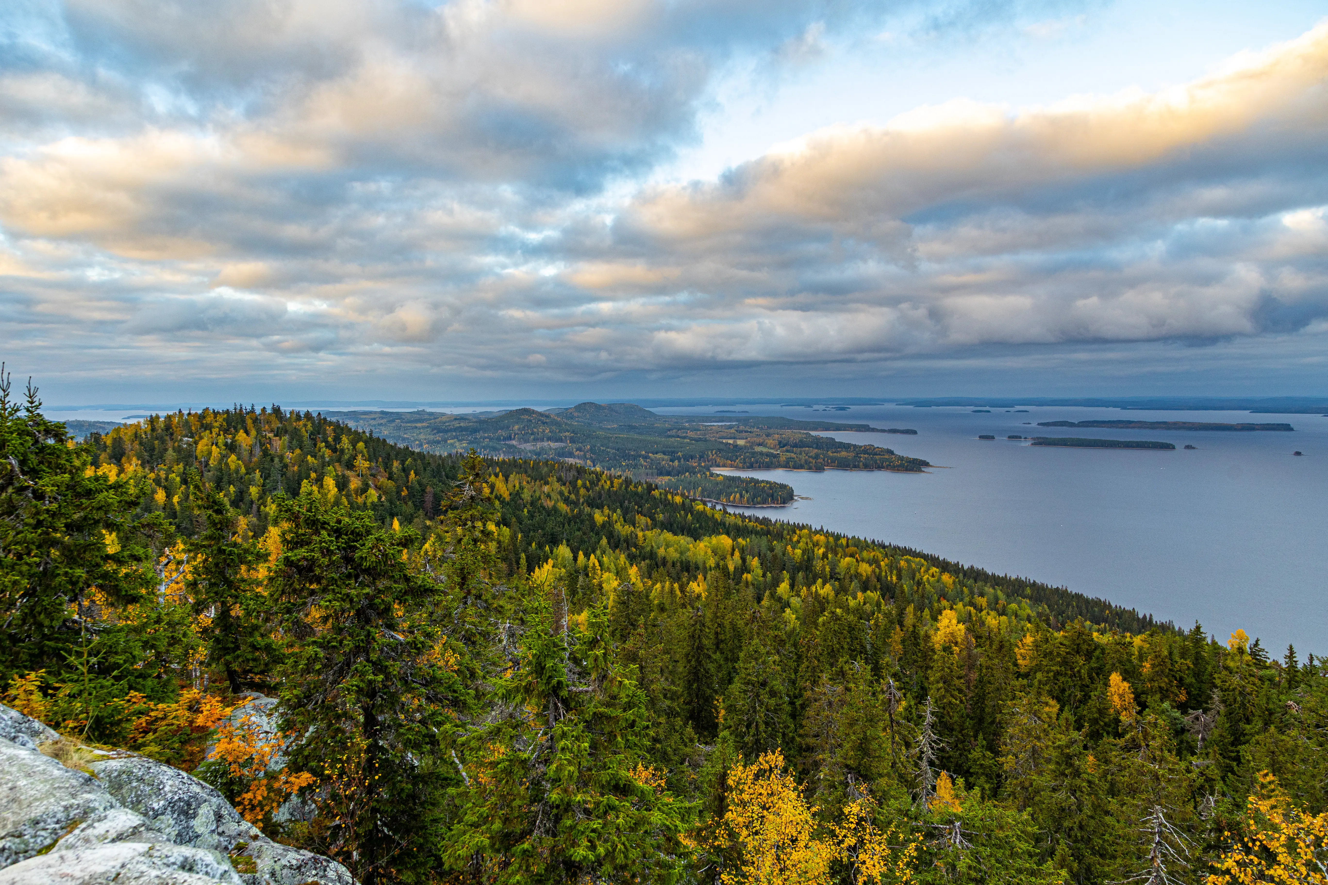 Ostrobothnia landscape by Alexander Krohn